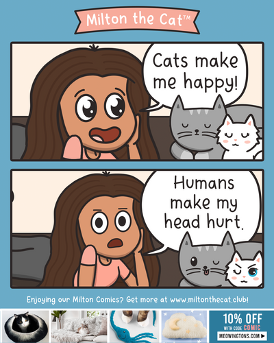 Cats Are Simply The Best