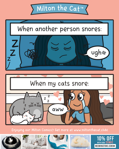 Cats Vs People: Snoring