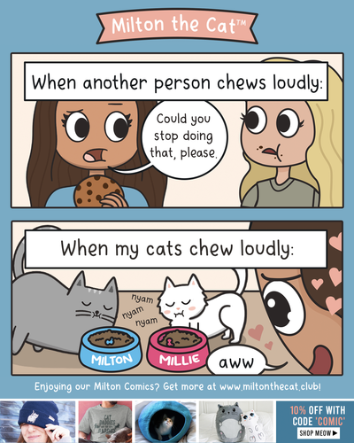 Cats Vs People: Chewing