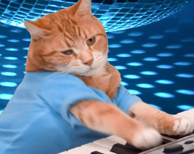 RIP Bento, Legendary Keyboard Cat and Master of Synth