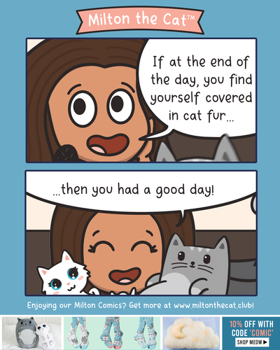 TBT: Cat Hair Reminders