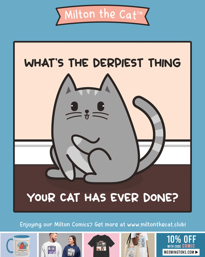 What Is The Derpiest Thing Your Cat Has Ever Done?