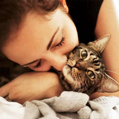 Allergic to Cats? There Might Be A "Cure" In Sight