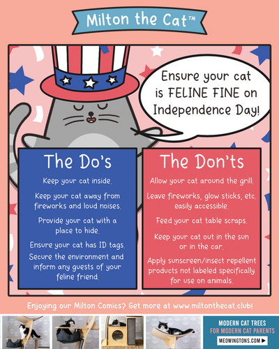 Tips For a Safe Independence Day