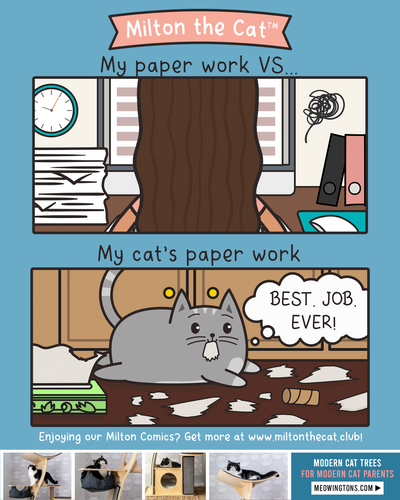 A Cat's Filing System