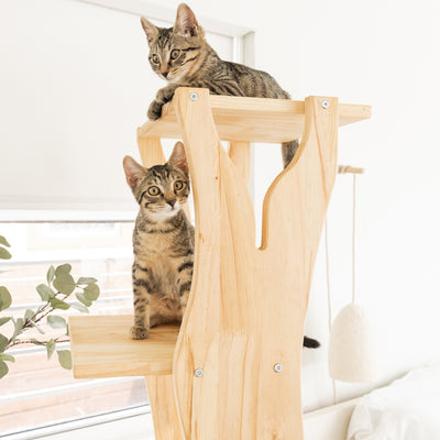 Introducing Ultra-Modern Cat Trees You AND Your Cat Will Love