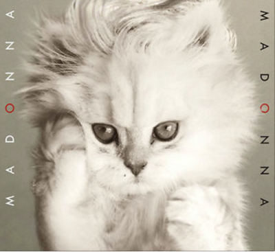 Classic Album Covers Purrfectly Recreated with Cats