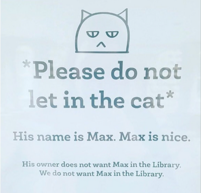 Curious Cat Loses Library Privileges But Wins Internet Fame