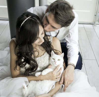 These Wedding Photos Featuring Cats Are Everything