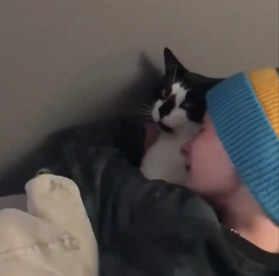 Kids' Emotional Reunion with Missing Cat Thought to Be Dead Is So Heartwarming