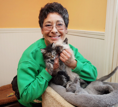 Ultimate Cat Lady Cares For Over 1,000 Cats (Video)