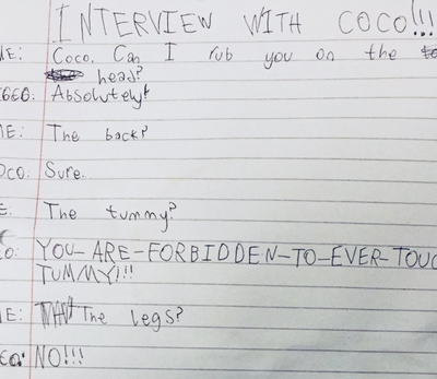 10-year-old girl interviews cat, results are purrfectly hilarious