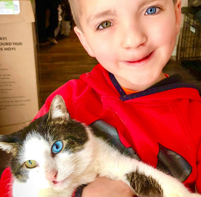Boy Bullied for Different Colored Eyes & Cleft Lip Adopts Cat With Same Condition