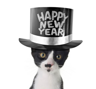 New Year’s Resolutions Your Cat Is Making For 2020