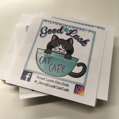 BIG MEWS: Meowingtons is Teaming Up With a Cat Cafe!