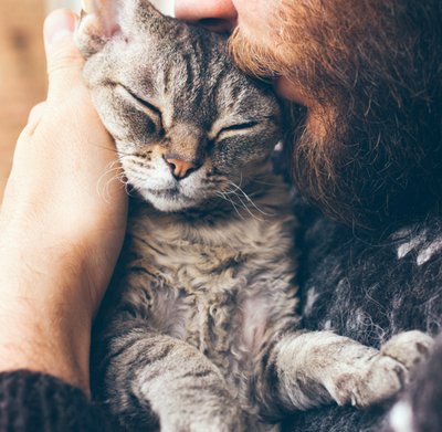 How to Hug Your Cat Without Getting Scratched