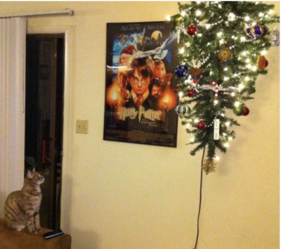 Clever Hacks to Cat-Proof Your Christmas Tree