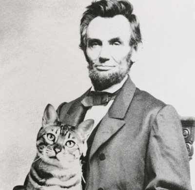 A Nation's Finest Felines: Presidential "First Cats"