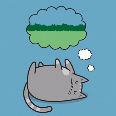 What Do Cats Dream Of?