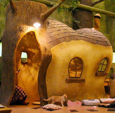 This Fantastical Cat Cafe Is Straight Out Of A Studio Ghibli Film