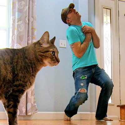 Cat Owner Fakes His Death To Test His Cat, Records His Unexpected Reaction