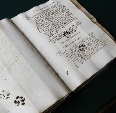 Paw Prints on Ancient Manuscript Show Cats Haven't Changed