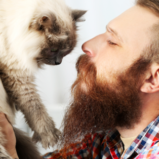 Purrfect Father's Day Gifts for the Cat Dad of the Year!