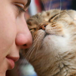 6 Ways Cats Show That Yes, They ACTUALLY Love You