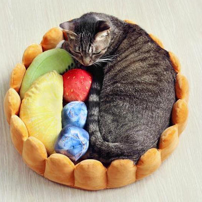 This Sweet Cat Bed Is The Cutest Thing Since Sliced Bread