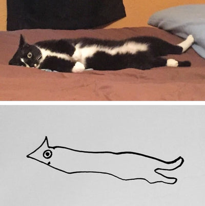 Minimalist Cat Art on Reddit Will Change the Way You Look at Cats