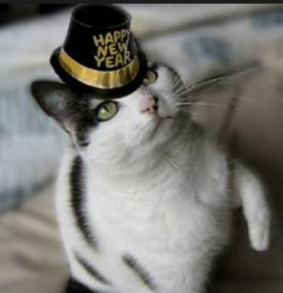 7 New Year's Resolutions To Make With Your Cat