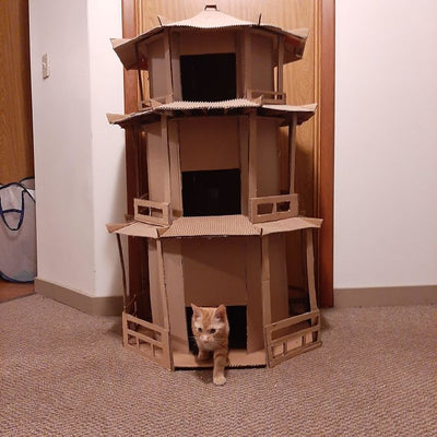 15 Cardboard Cat Fortresses To Inspire Your Next DIY Project