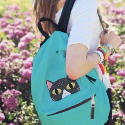 11 PURRfect Back to School Supplies for Cat Lovers