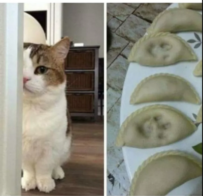 15 Typical Cat Behaviors That Will Make You Laugh and Cry At the Same Time