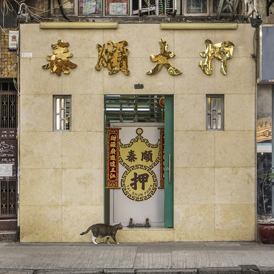 A Look Into The Secret Lives Of The Shop Cats of Hong Kong