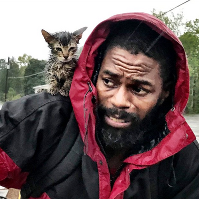 This Photo of a Man Rescuing His Kitten During Hurricane Florence Proves There's Good in This World