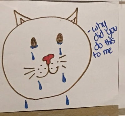 Girl Creates 'Wall of Sorrow' to Guilt-Trip Dad Into Adopting a Cat