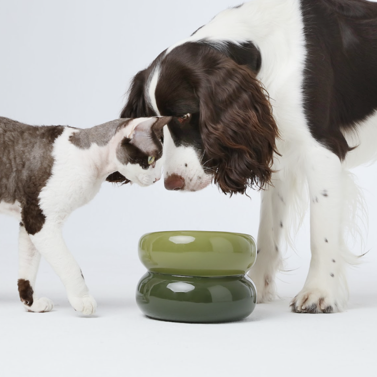 Souffle Pet Bowl