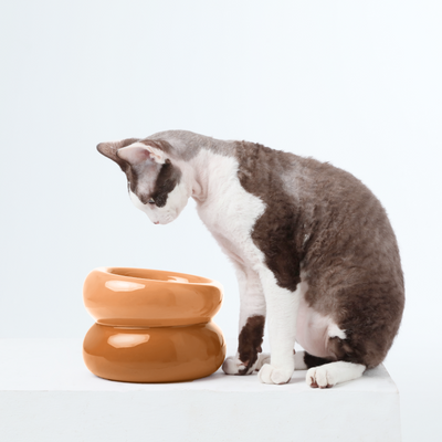 Souffle Pet Bowl