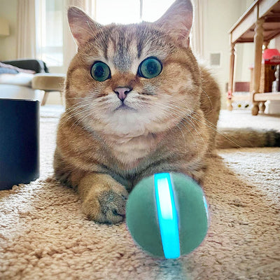 Automatic Interactive Cat Toy Ball