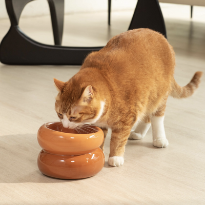 Souffle Pet Bowl