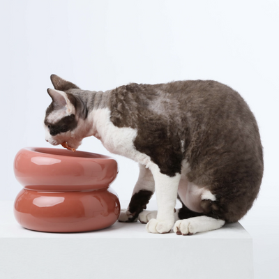 Souffle Pet Bowl