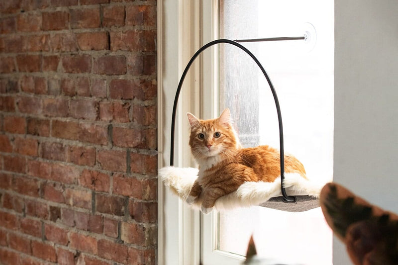 Cloud Nine Window Hammock