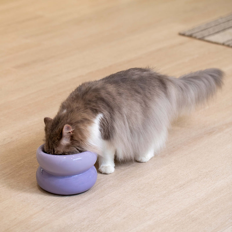 Souffle Pet Bowl