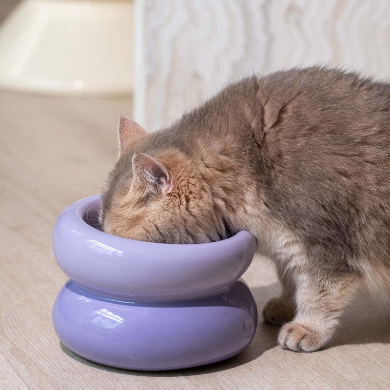 Souffle Pet Bowl