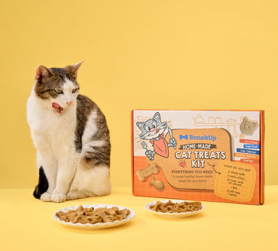 BoneItUp® Homemade Cat Treats Kit