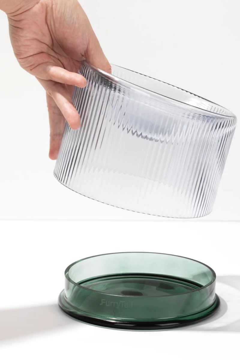 2-in-1 Elevated Glass Cat Bowl