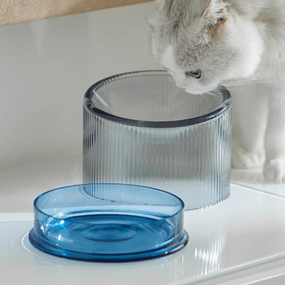 2-in-1 Elevated Glass Cat Bowl