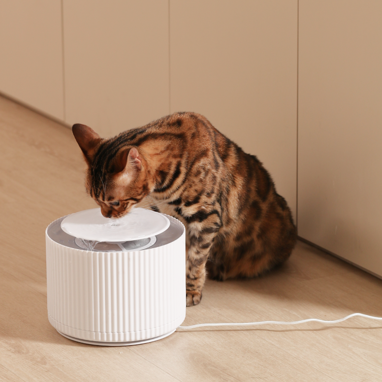 Automatic Clear Cat Water Fountain (2L)