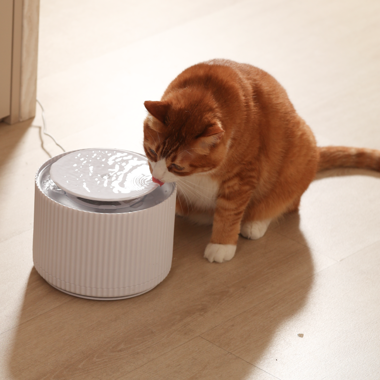 Automatic Clear Cat Water Fountain (2L)